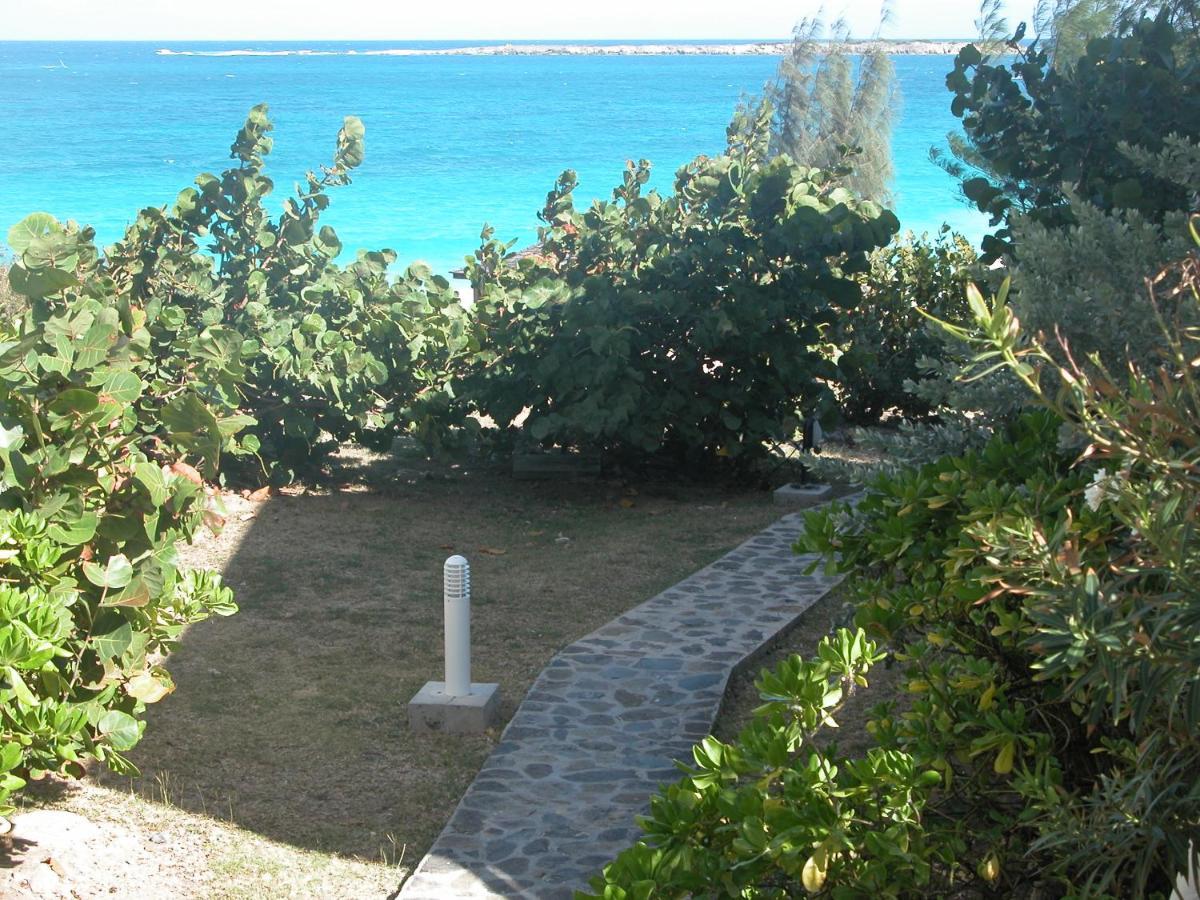 Top Floor Unit 520 Ft2 - 48 M2 With Stunning Dominant View On Ocean, St Barth, Orient Bay クルドサック エクステリア 写真
